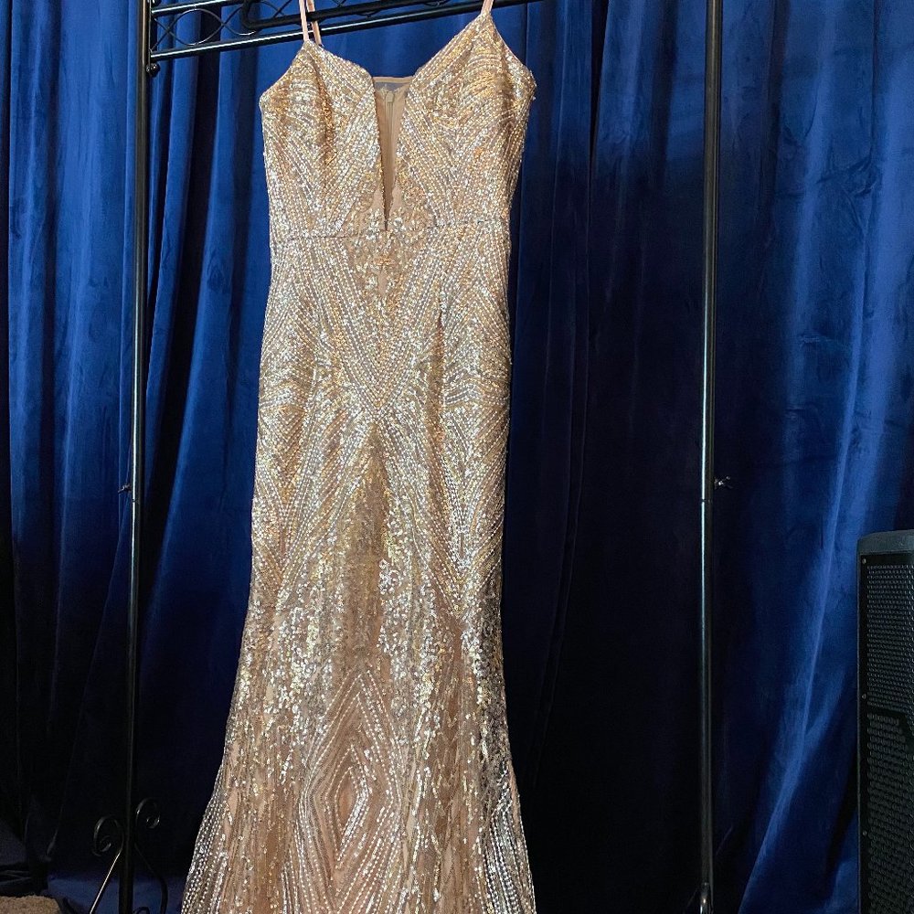 Dress The Population long gold sequin dress, size S